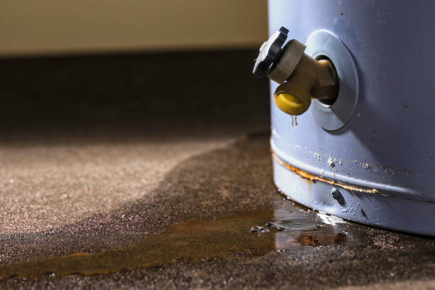 Best Water damage repair service  in Roosevelt, UT