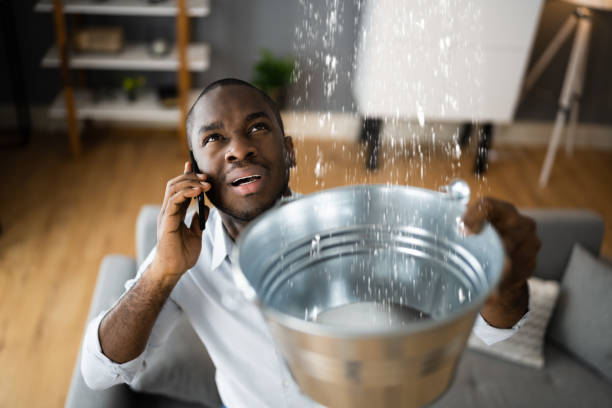 Best Water damage restoration services  in Roosevelt, UT