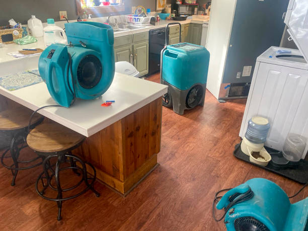 Best Carpet water damage restoration  in Roosevelt, UT