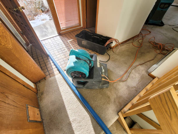 Best Basement water damage restoration  in Roosevelt, UT