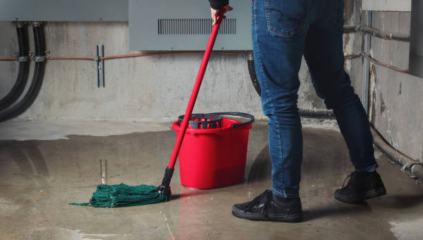 Best Residential water damage restoration  in Roosevelt, UT