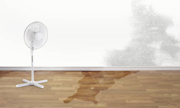 Best Sewage cleanup and water damage restoration  in Roosevelt, UT