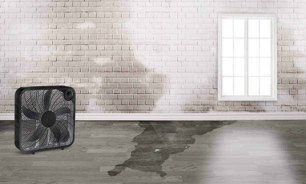 Best Emergency water damage restoration  in Roosevelt, UT