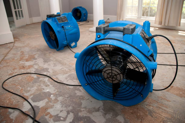 Best Emergency water extraction  in Roosevelt, UT