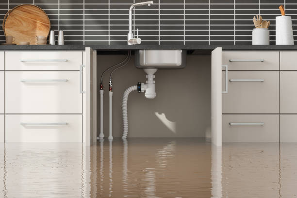 Best Water damage restoration near me  in Roosevelt, UT