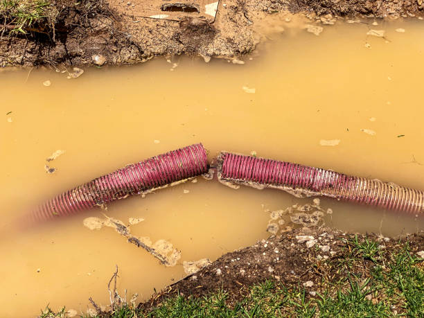 Best Water damage cleanup near me  in Roosevelt, UT